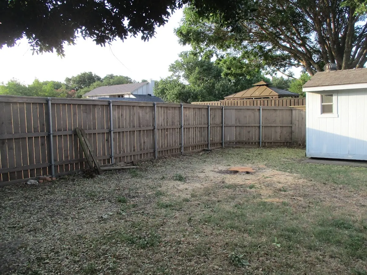 Cleared yard after professional tree removal in Echo